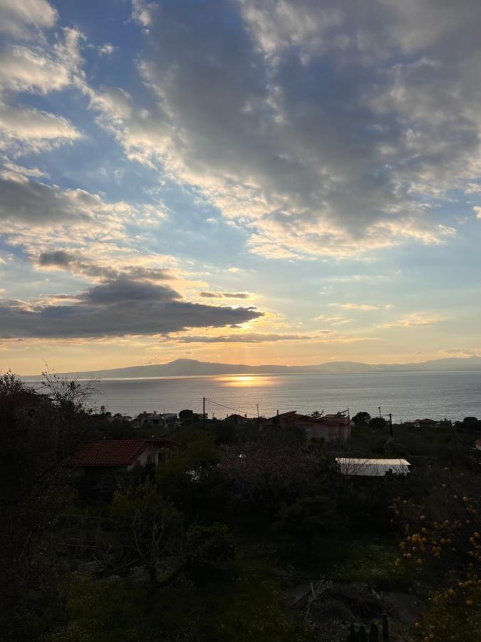Panorama Studio Kalamata Zewnętrze zdjęcie